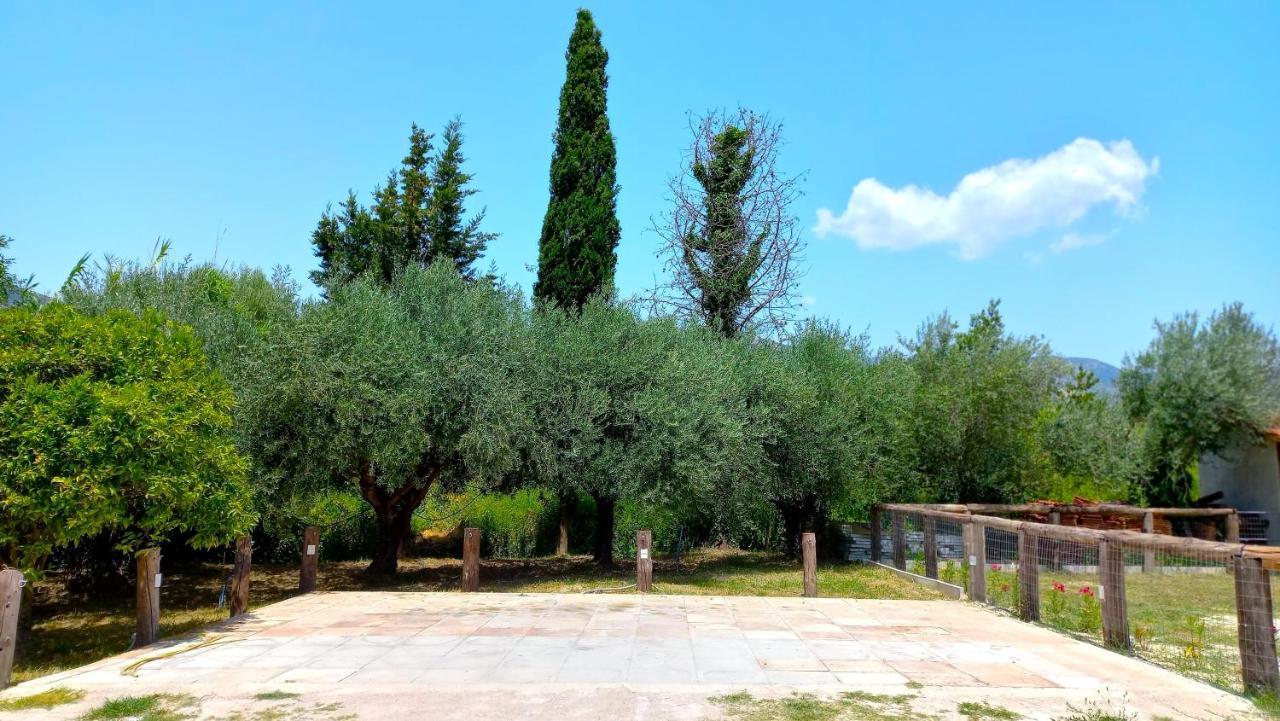Platanos Villa Vasilikí Exterior foto